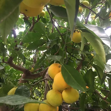 Appartamento La Casa Dei Poeti